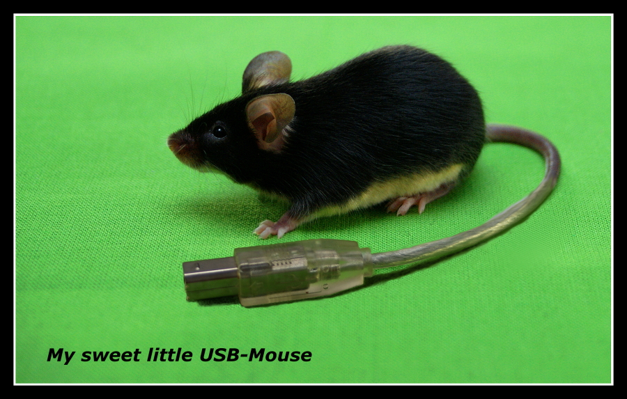 USB-Maus