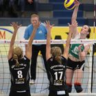 Usc Münster- Köpenicker Sc (2)