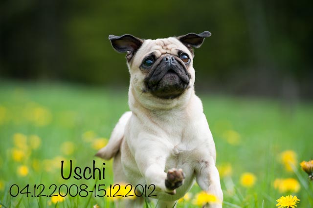 Uschi