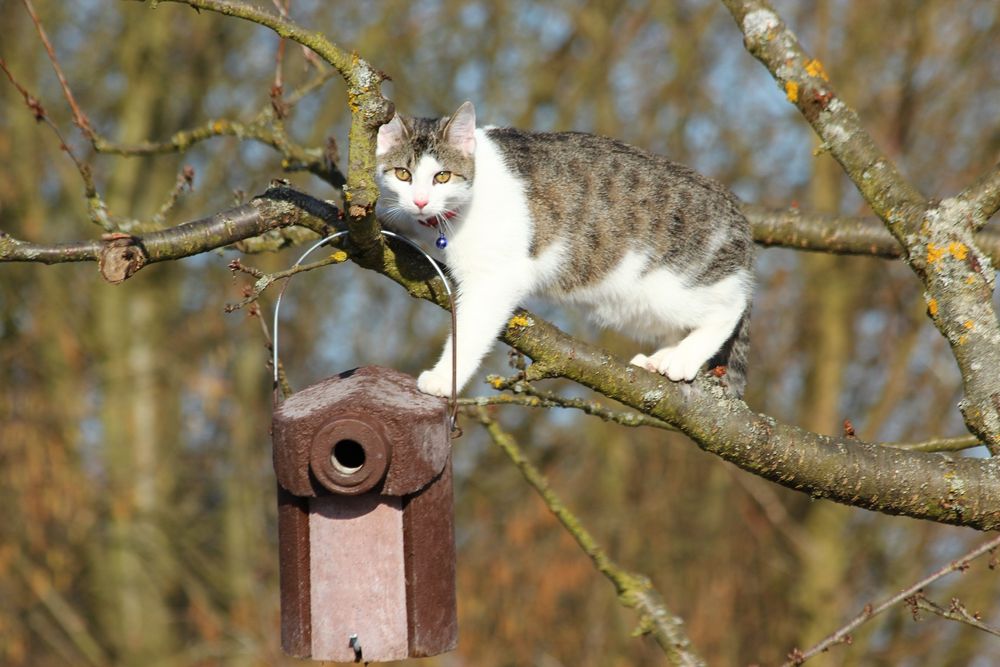...Uschi mach kein Quatsch! Foto & Bild | anfängerecke - nachgefragt