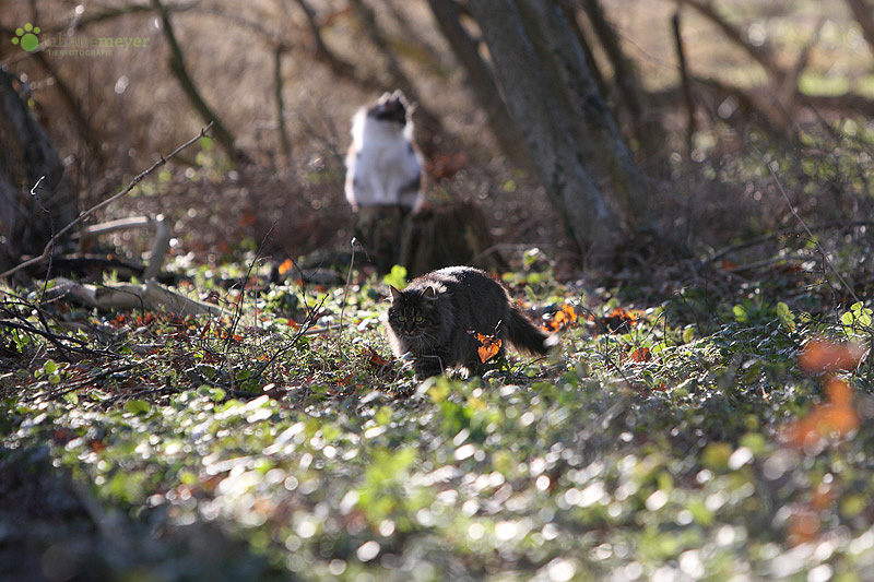 Uschi und Zumsel