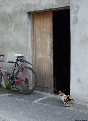 Uscio - Gatto di guardia