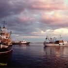 Uscita barche al tramonto per la pesca