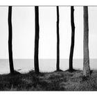 Usedom (1), 1994