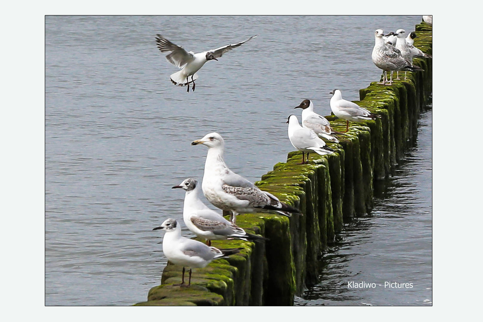 Usedom 14