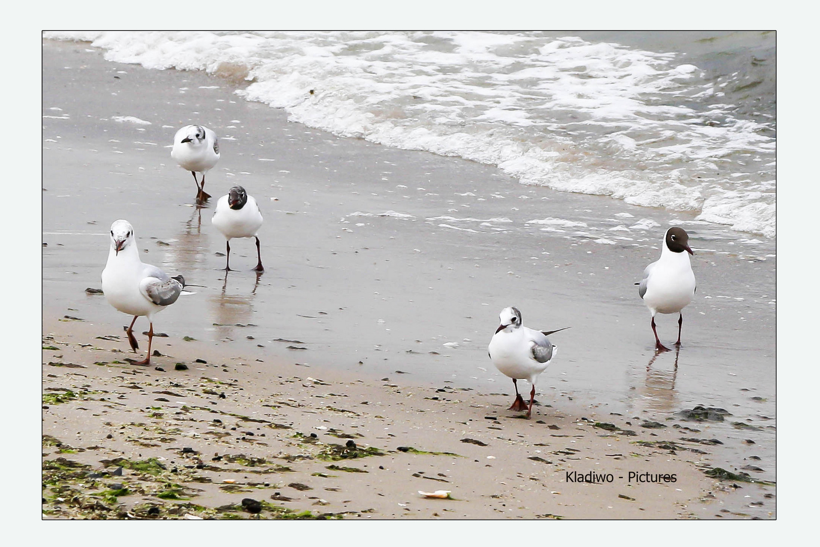 Usedom 15