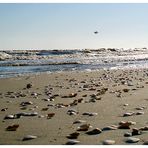 Usedom 2008/08 - Strand, Meer & blauer Himmel