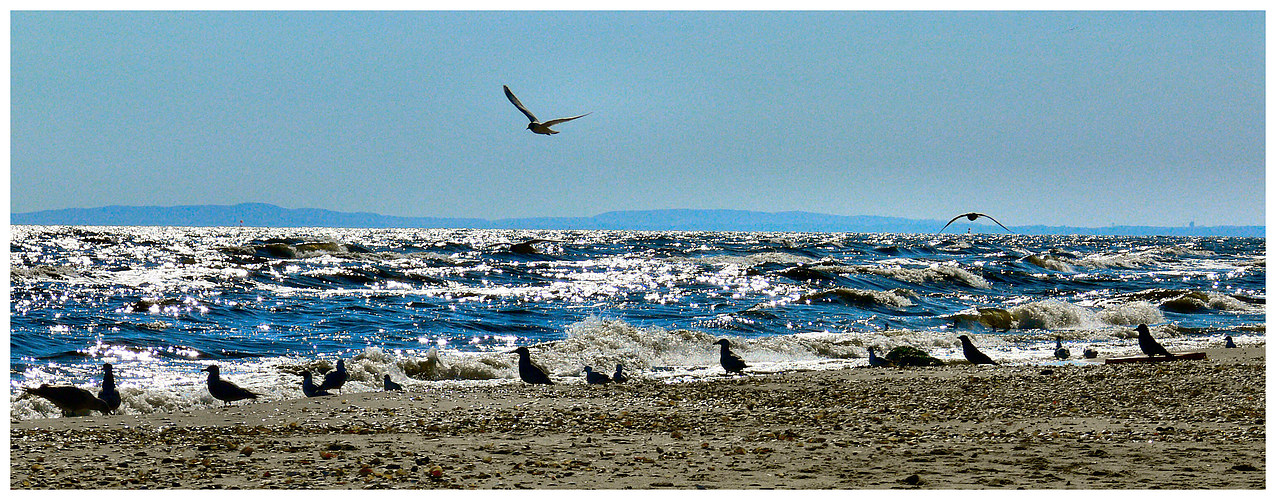 Usedom 2008/10 - Ostsee