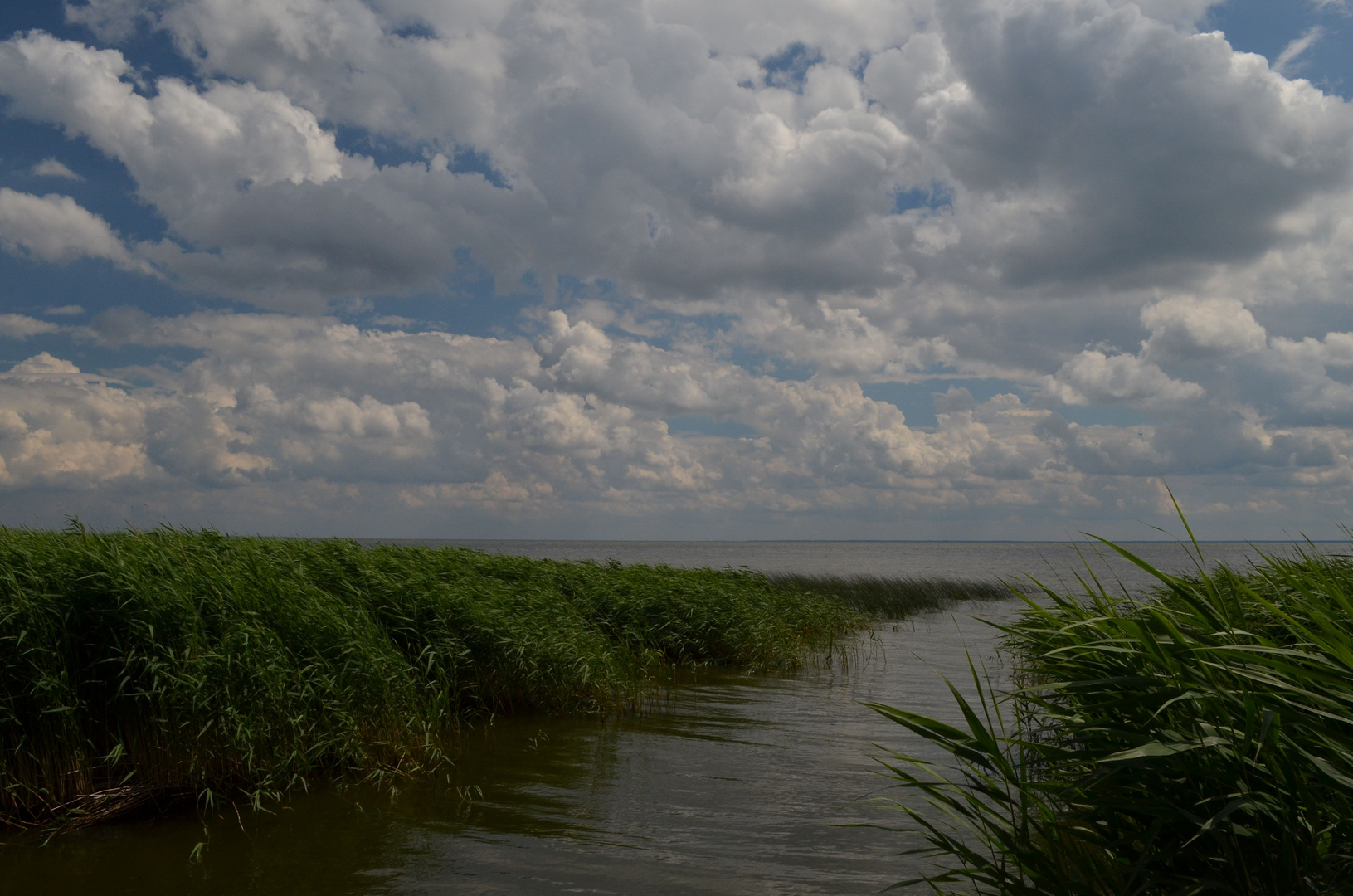 Usedom 2016 (25)