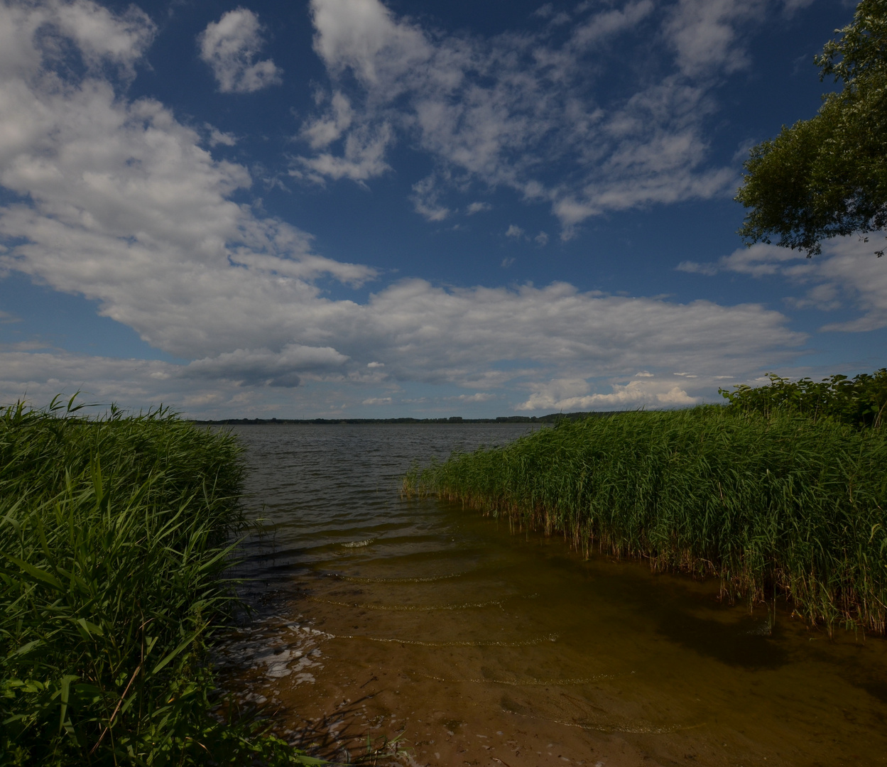 Usedom 2016 (65)