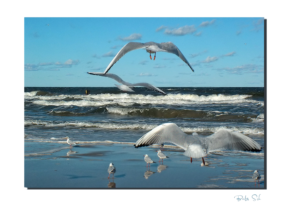 Usedom...