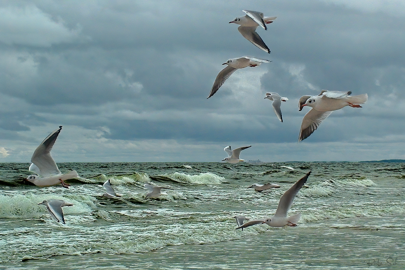 Usedom...