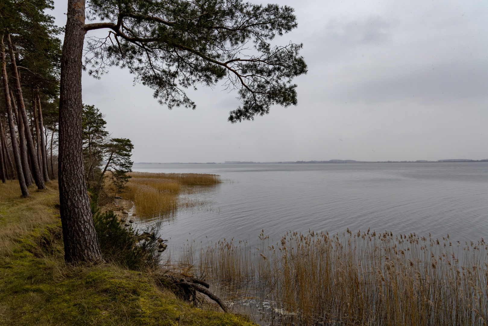 Usedom