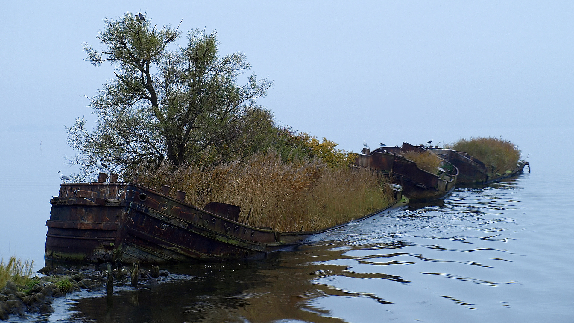 Usedom