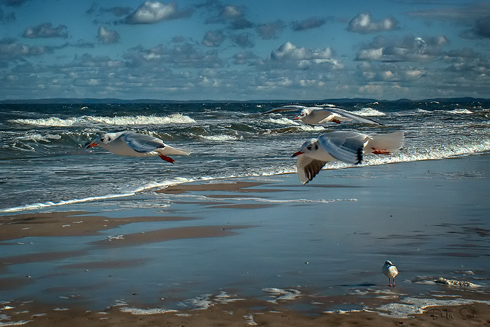 Usedom...