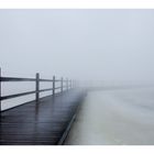 Usedom: Achterwasser im März