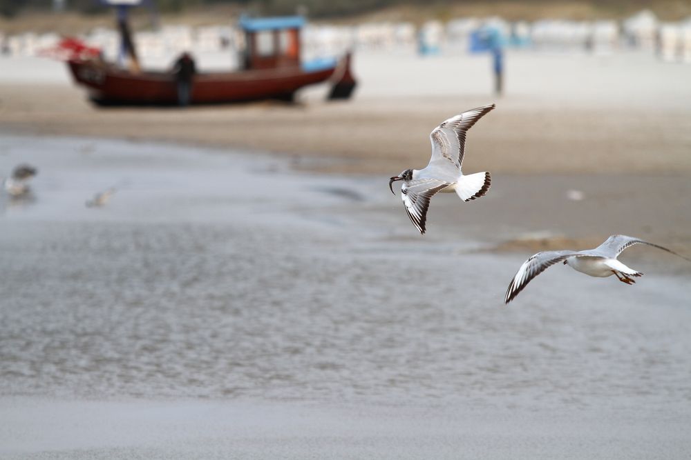 Usedom / Ahlbeck