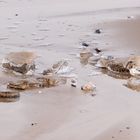 Usedom Ahlbeck Strand im Winter