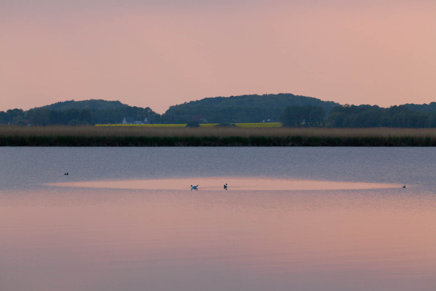 Usedom am Abend