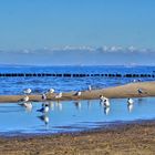 Usedom / Bansin