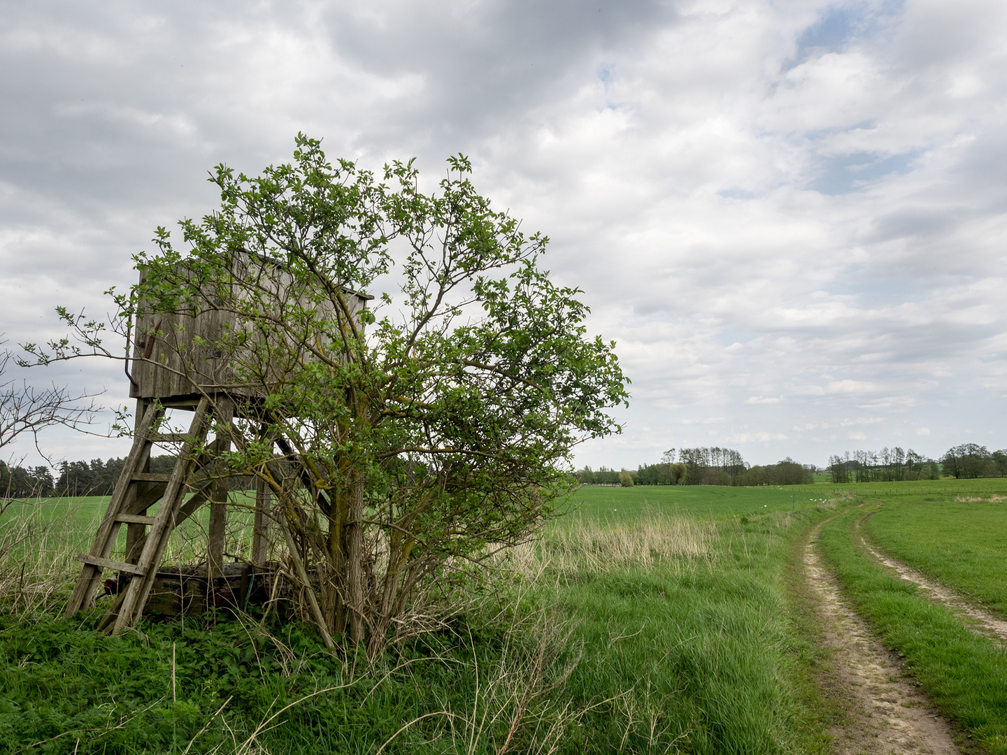 Usedom - Dargen   Hochsitz am Wiesenweg