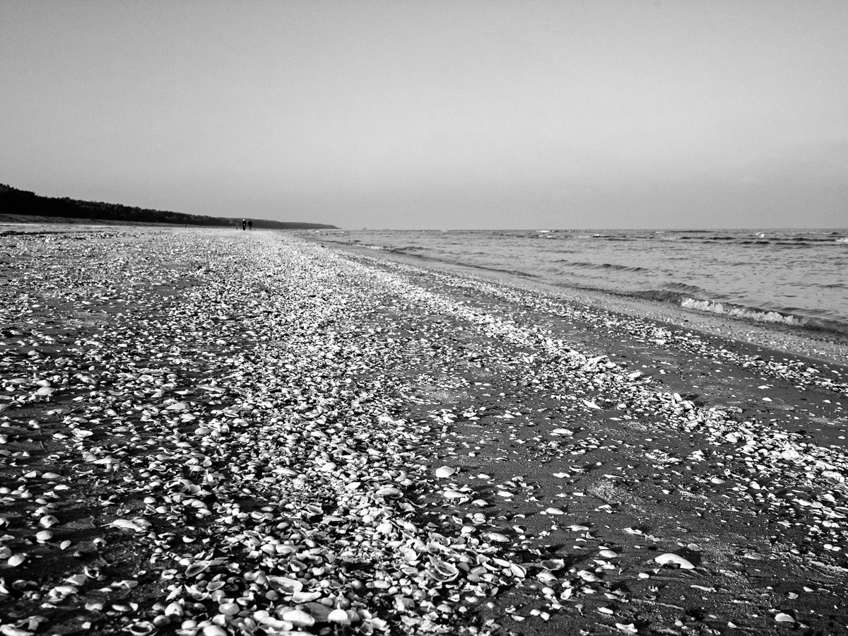 Usedom Herbst und Winter