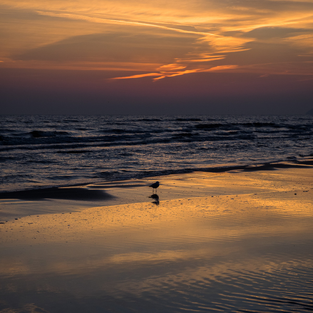 Usedom Herbst und Winter