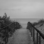 Usedom II