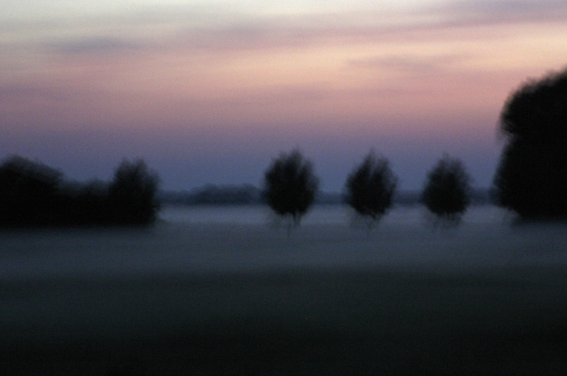 Usedom im Abendnebel