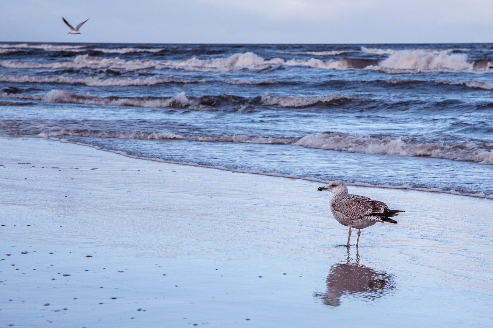 Usedom im Dezember