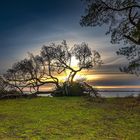 Usedom im Winterlicht