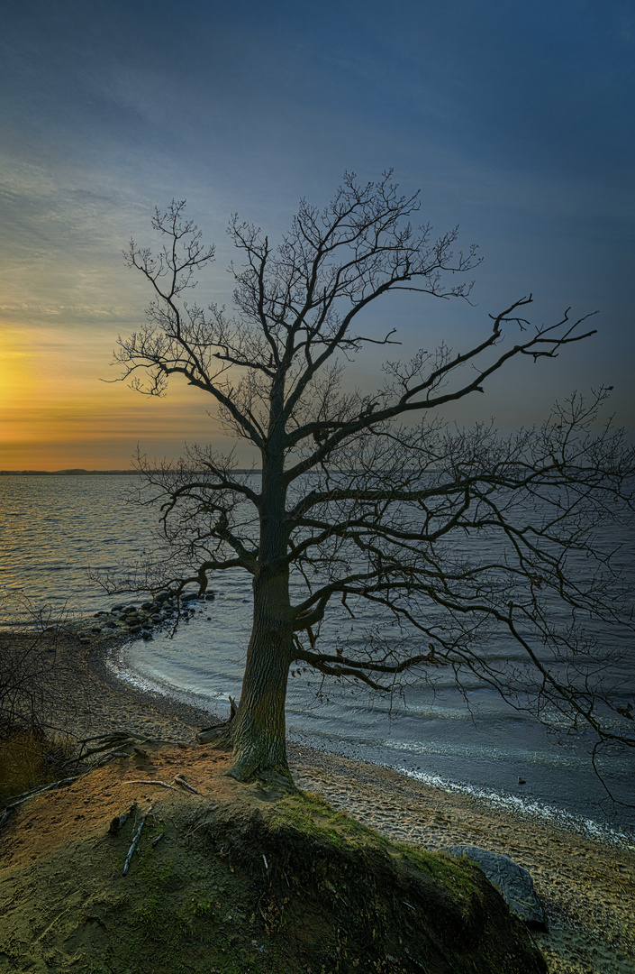 Usedom im Winterlicht