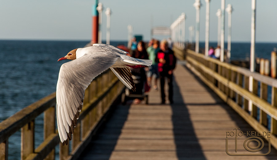 Usedom Impressionen