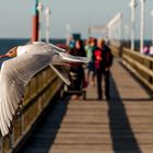 Usedom Impressionen