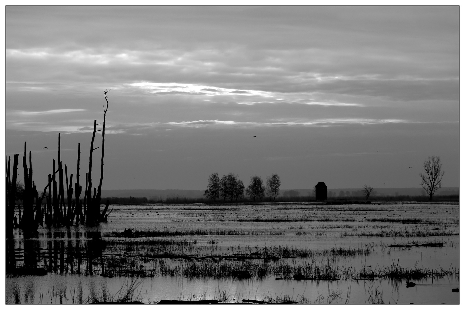 Usedom - Peenetal : Peene Valley