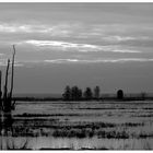 Usedom - Peenetal : Peene Valley