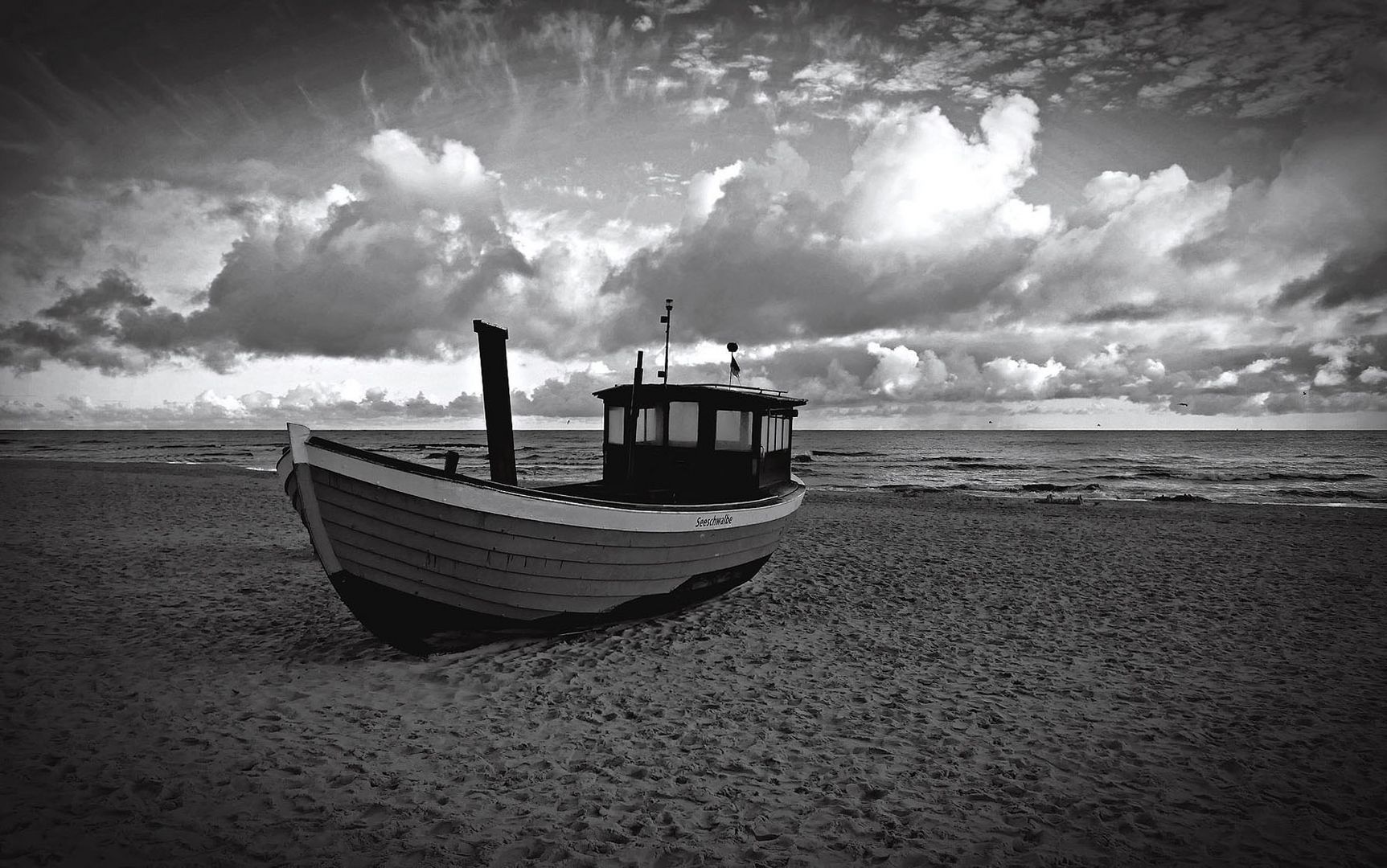 (Usedom) Seeschwalbe...