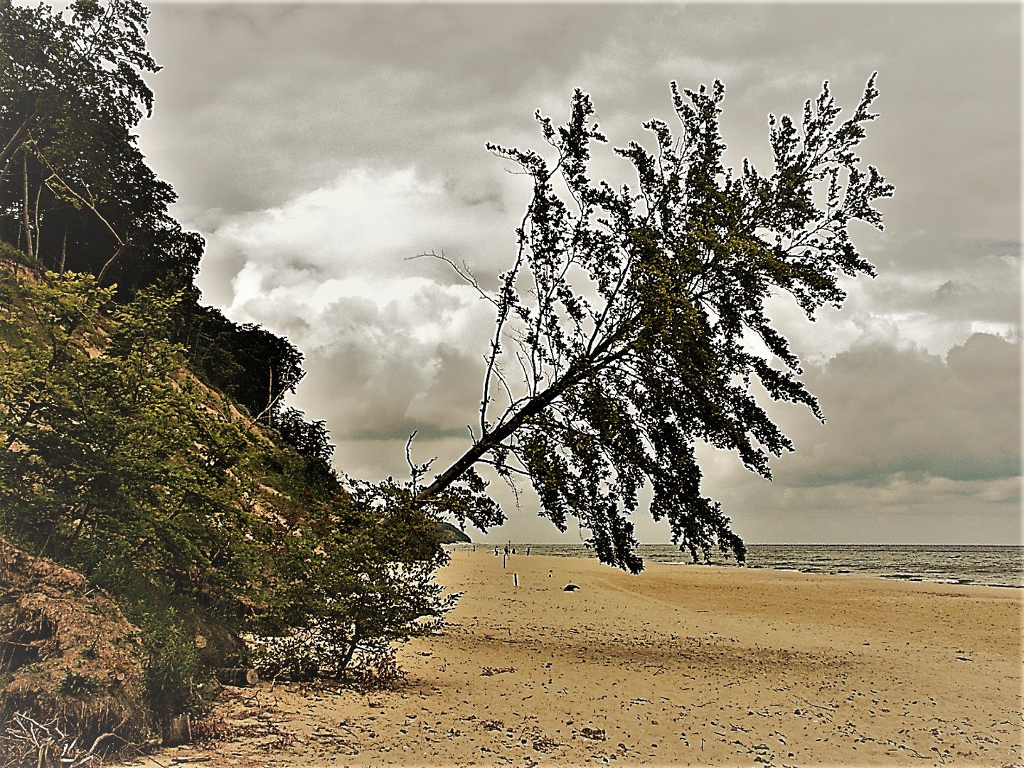 Usedom Steilküste