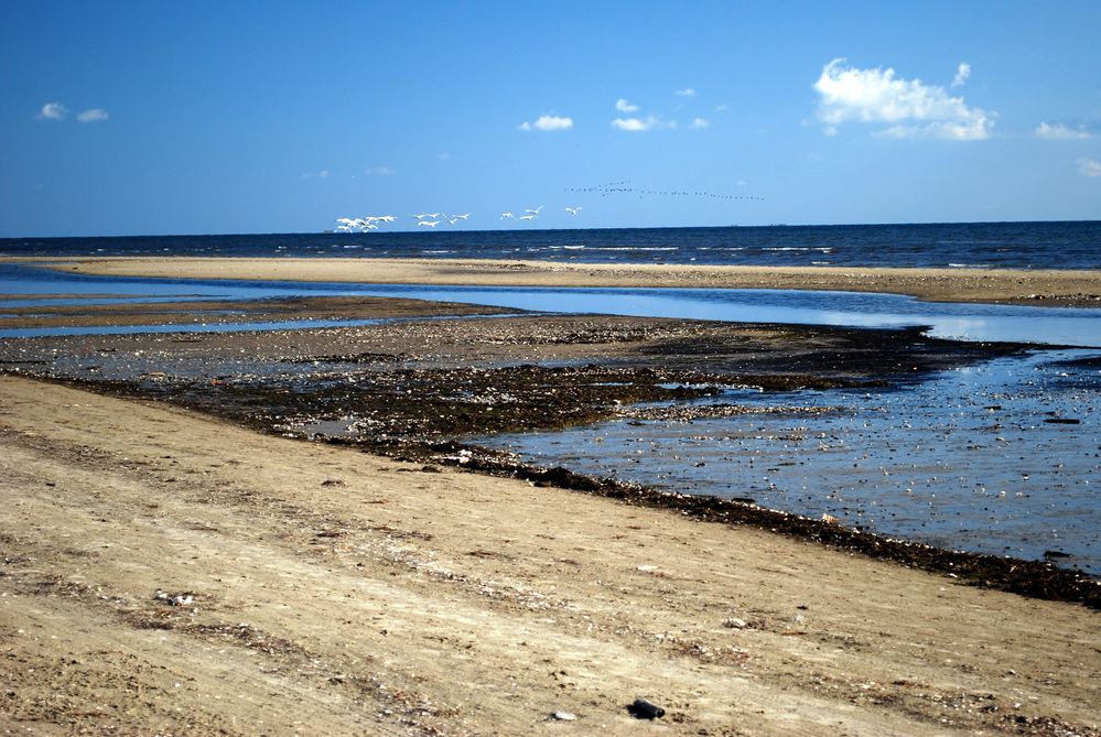 Usedom, Strand von paul-heinz 