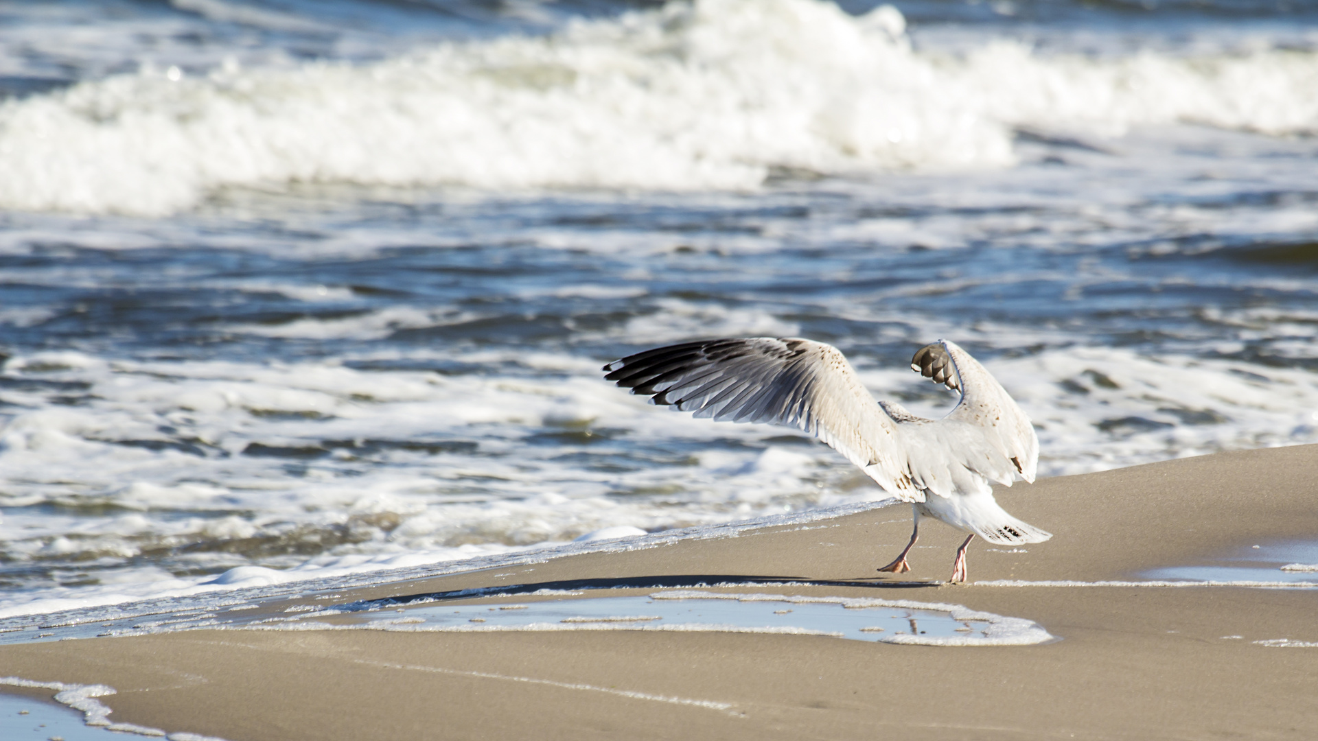 Usedom Strand