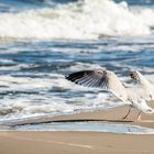 Usedom Strand