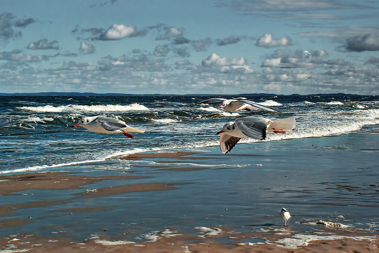 Usedom Strand-Impressionen