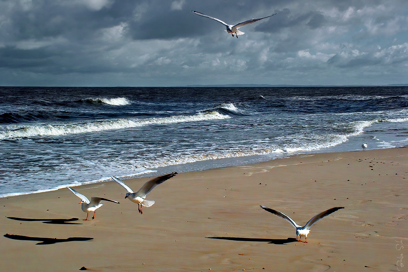 Usedom Strand-Impressionen...