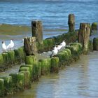 Usedom - Wellenbrecher