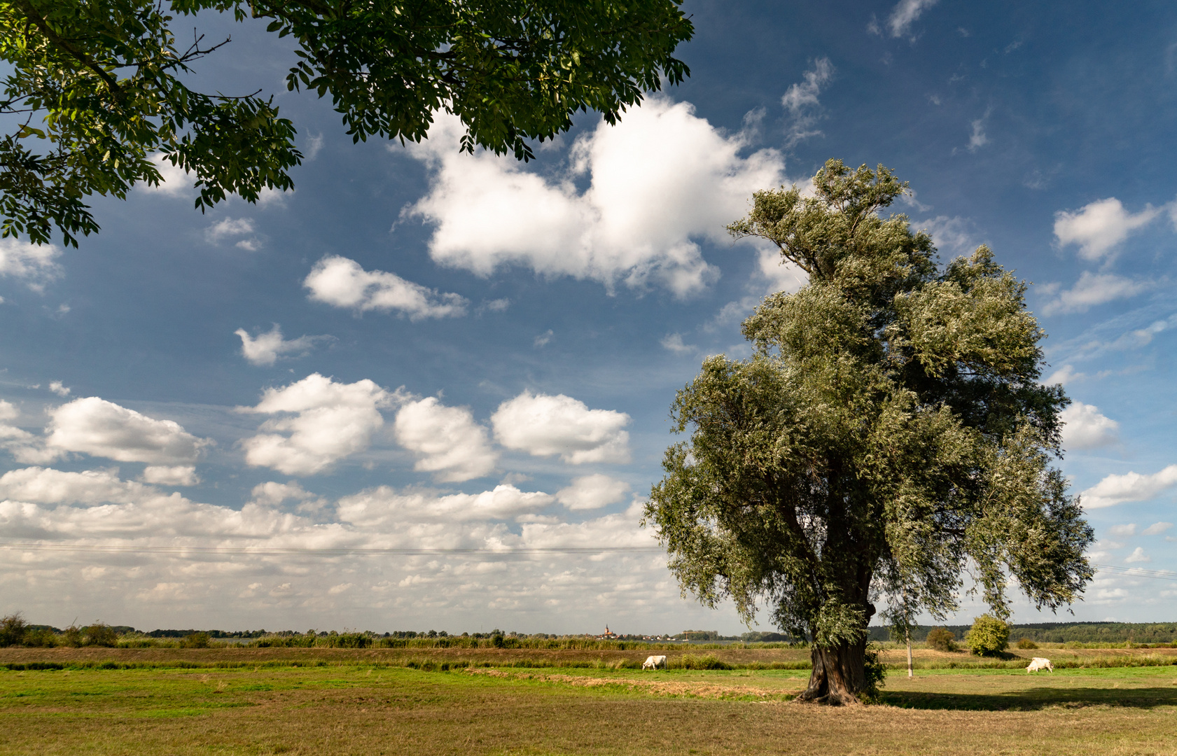 Usedomer Landschaft 2