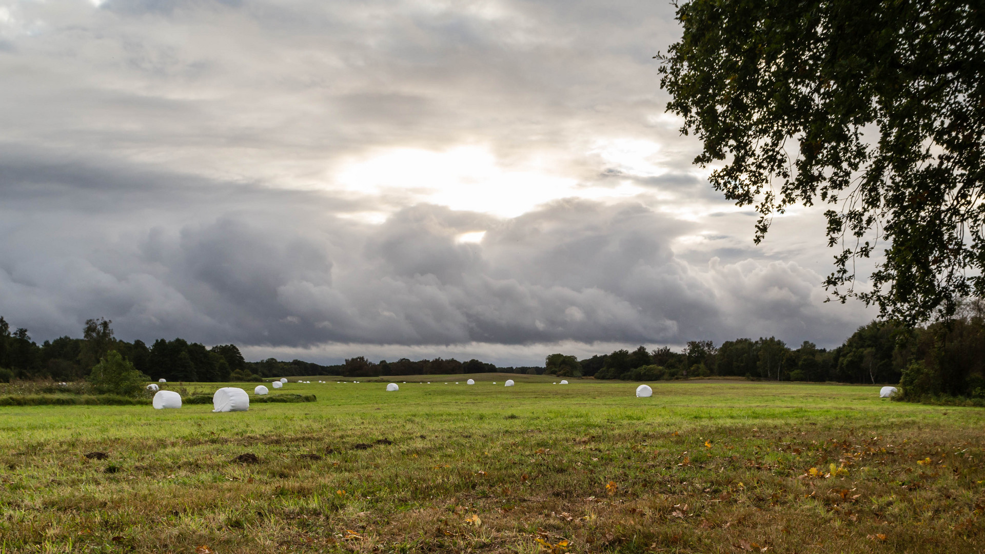 Userin Foto & Bild landschaft, kulturlandschaften, mecklenburg