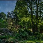 Usertreff Botanischer Garten der Uni Basel 12