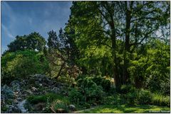 Usertreff Botanischer Garten der Uni Basel 12