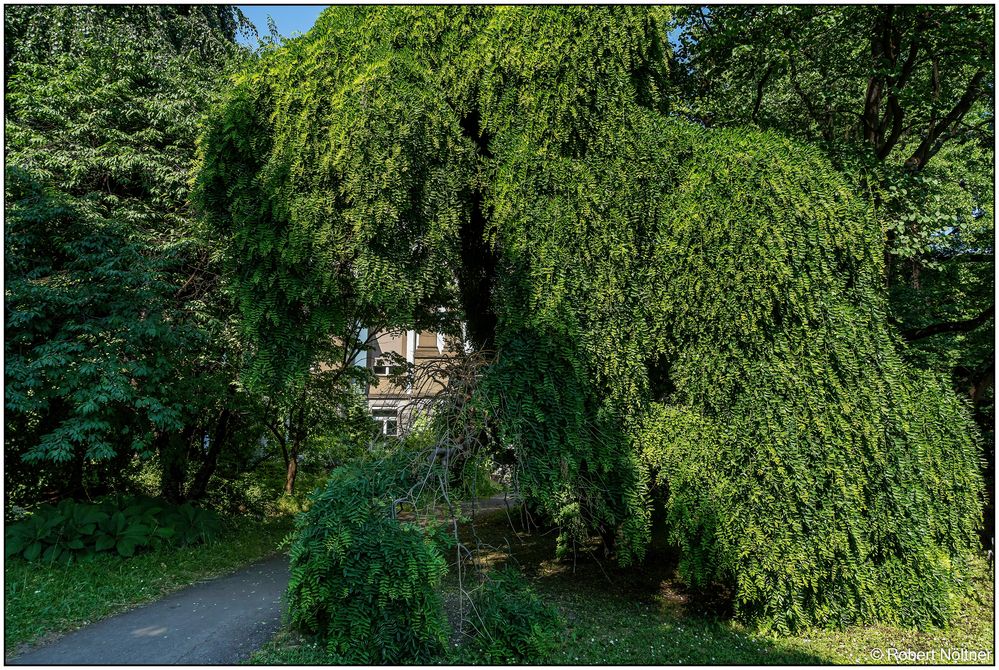 Usertreff Botanischer Garten der Uni Basel 19