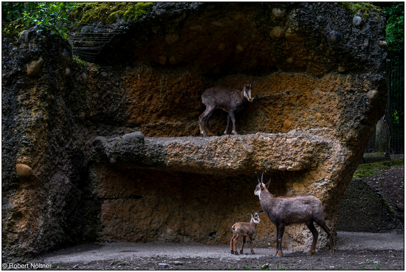 Usertreff im Tierpark Lange Erlen 02